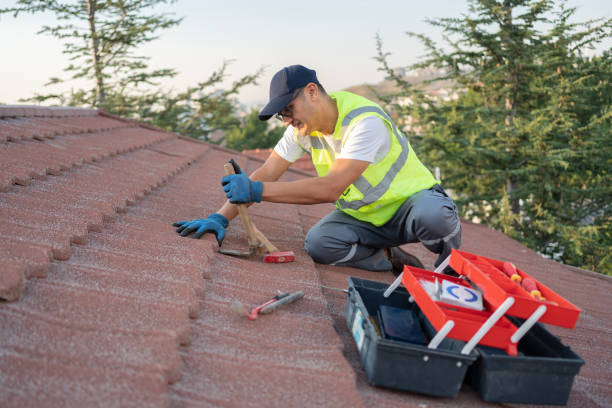 Best Storm Damage Roof Repair  in St Paul, VA